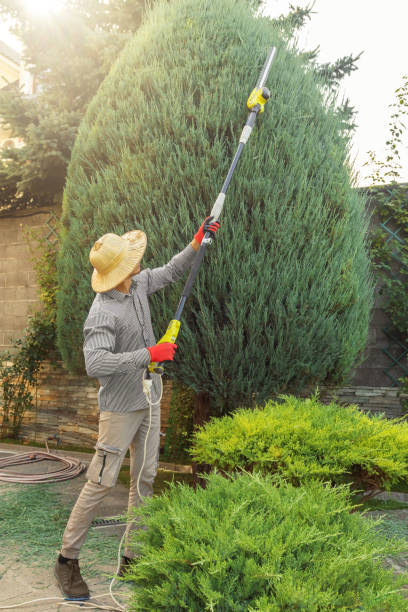 Best Utility Line Clearance  in Ontario, OR